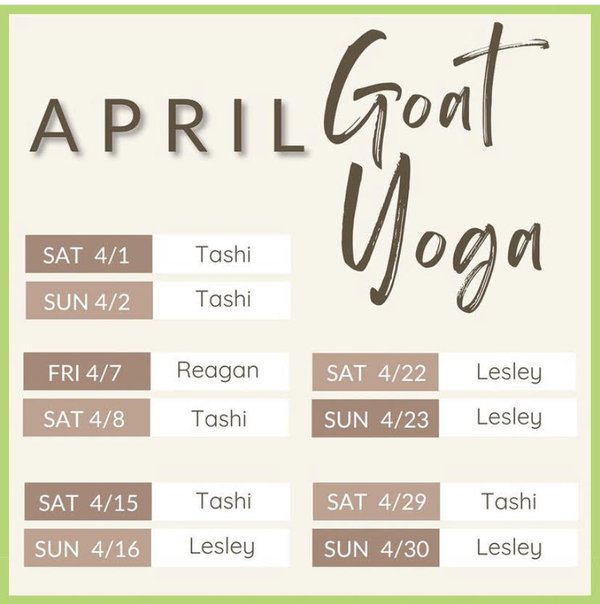 april goat yoga.jpg