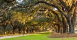 Boone Hall Plantation.jpg