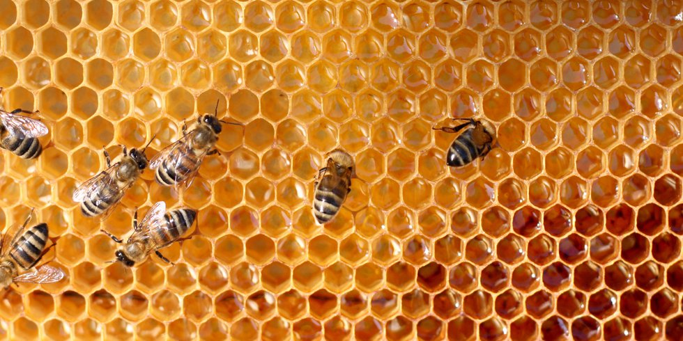 honeycomb.png