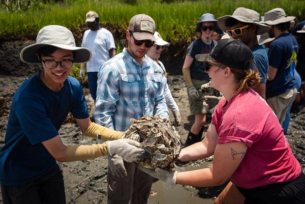 building new oyster reefs SCDNR.jpg