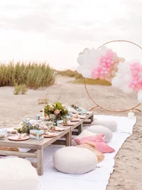 beach_picnicpage_394x.webp